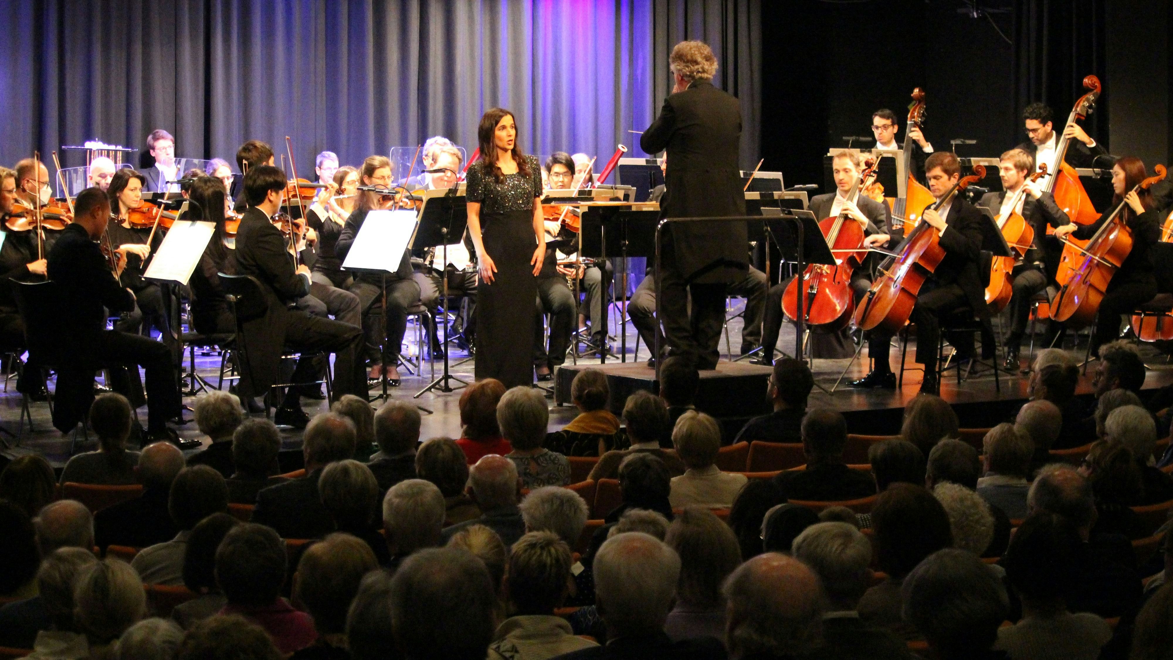 Die Philharmonie Südwestfalen gastierte bereits zum 8. Mal in Lohne. Foto: Heinzel