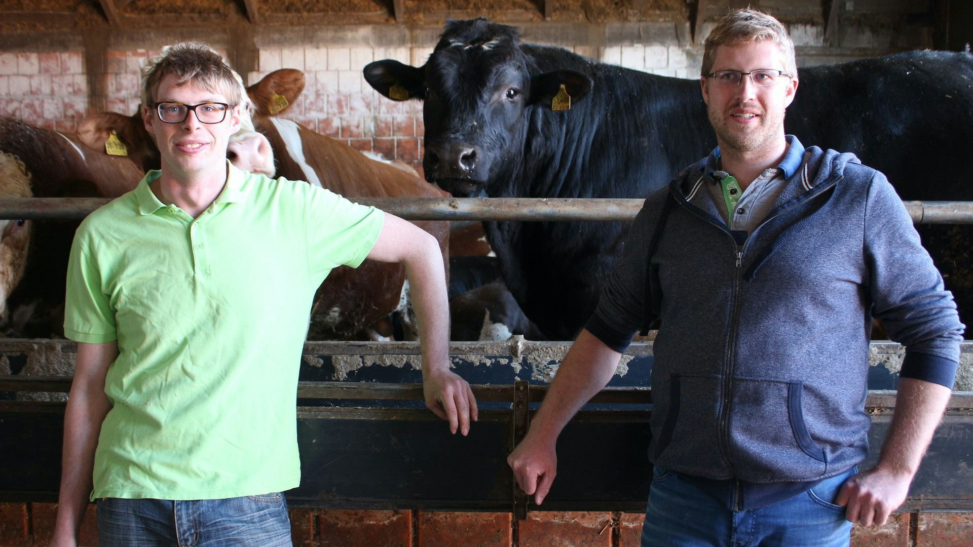 Glückliche Rinder sind ihr Geschäftsgeheimniss: Alexander (links) und Christian Rolfes vertreiben ihre Fleischprodukte über ihre Eigenmarke Bakumer Rindfleisch. Foto: Heinzel
