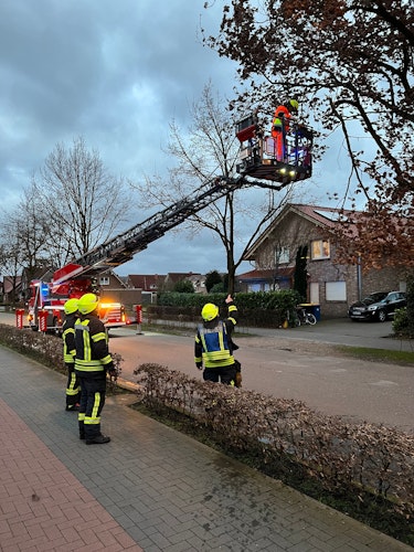 Die Freiwillige Feuerwehr Lohne ist am Donnerstagmorgen zu einem Einsatz an die Märschendorfer Straße augerückt. Foto: Feuerwehr Lohne  Tombrägel