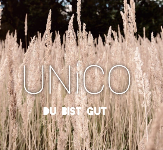 Das neue Album der Band Unico: Du bist gut. Coverfoto: Band Unico