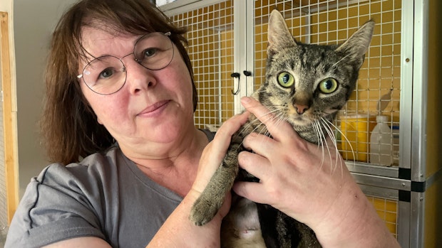 Roswitha Nier kümmert sich um ausgesetzte Katzen – und schlägt Alarm
