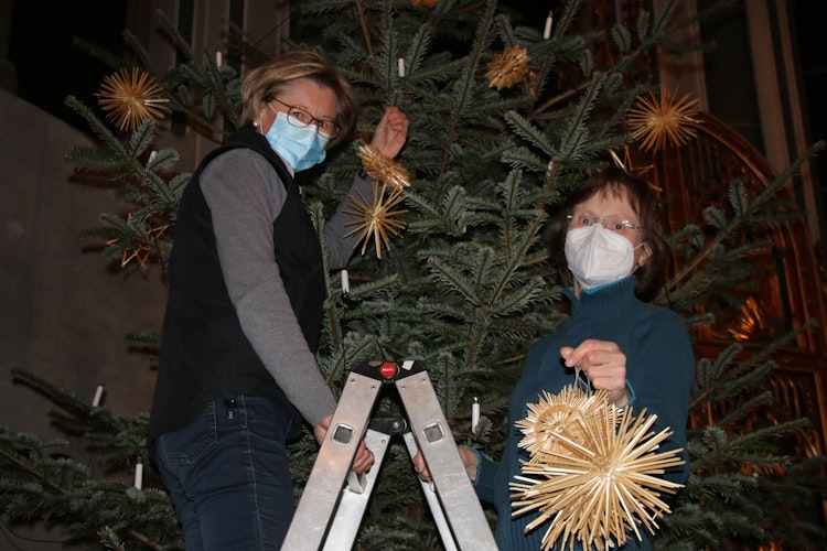Stellenweise hoch hinaus: Monika König (links) und Brigitte Bohne nahmen die Strohsterne von den Bäumen ab. Foto: Lammert