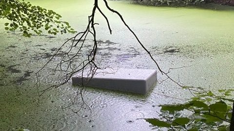 Der Tresor ist einem Teich in Steinfeld versenkt worden. Foto: Polizeiinspektion Cloppenburg/Vechta