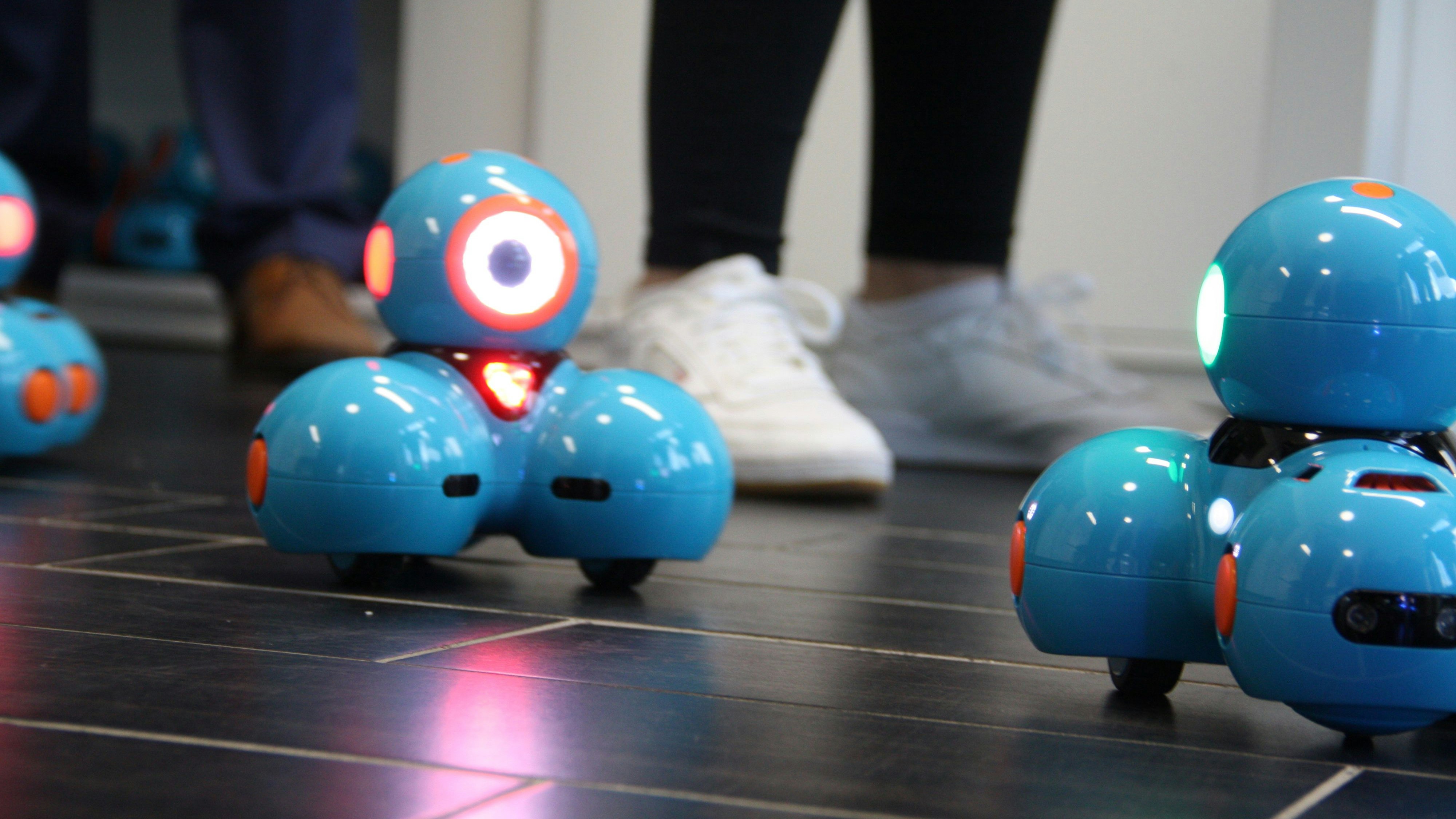Kleiner Roboter mit großer Wirkung: Die 12 Lernroboter des RoboLabs sollen spielerisch den Umgang mit Robotertechnologie erleichtern und Berührungsängste nehmen. Foto: Technow