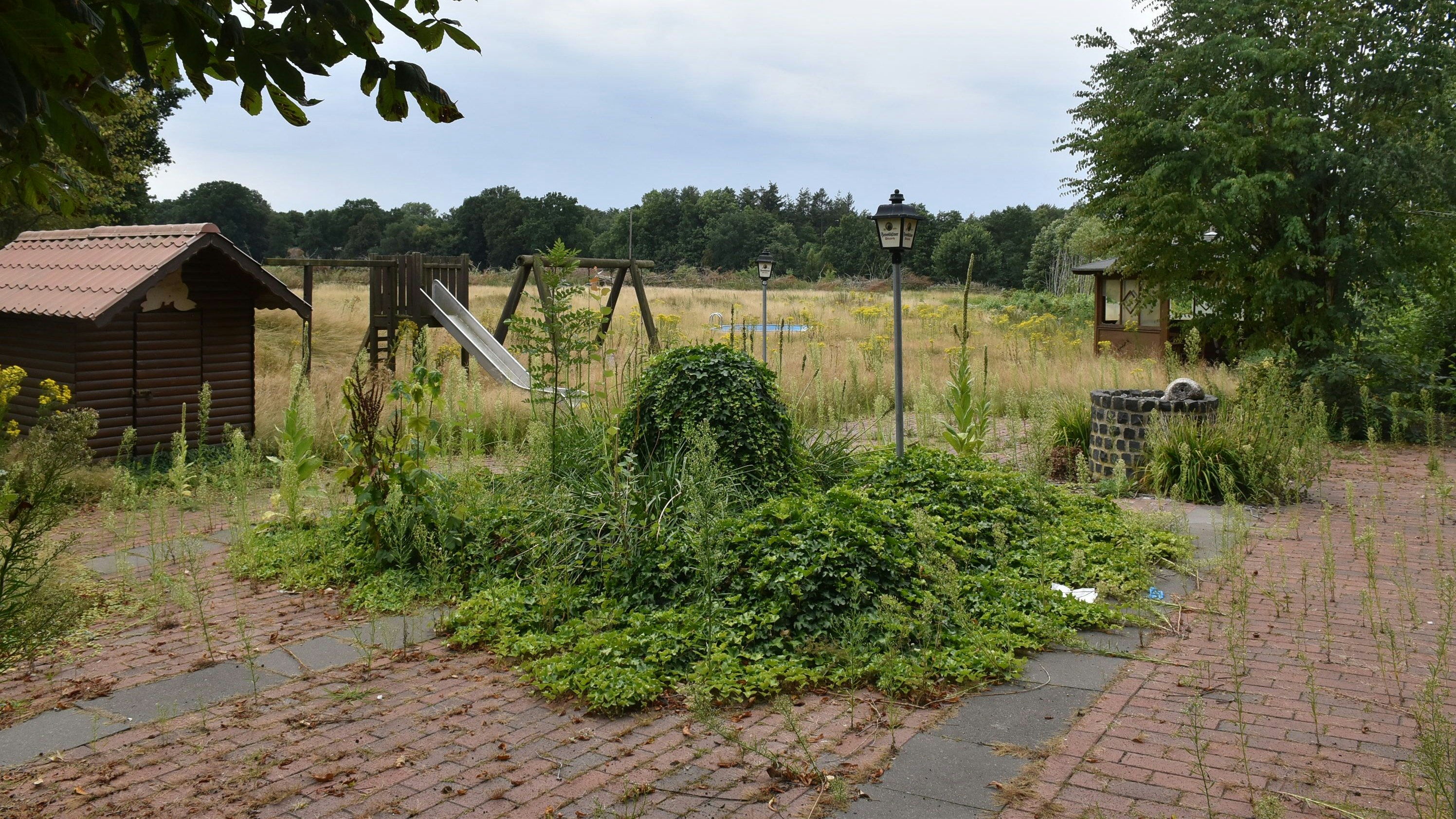 Objekt von Auseinandersetzungen: Diese Grünfläche in Nellinghof möchte Guido Oevermann zu einem Campingplatz umbauen. Dagegen regt sich Widerstand. Foto: Lammert
