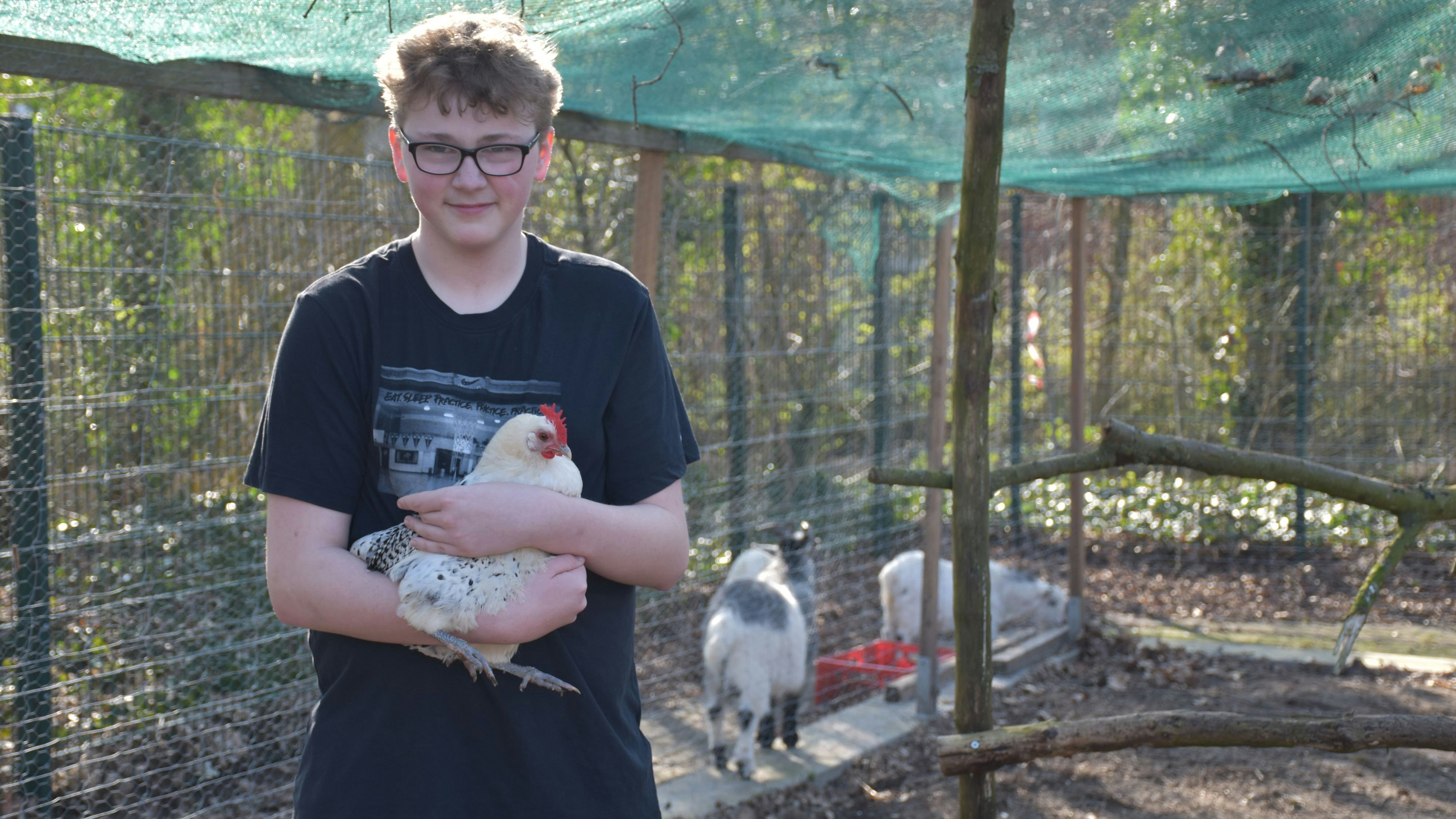 Ihm macht die Arbeit im Tiergarten Spaß: Jayden Hülsmann versorgt unter anderem 13 Hühner und einen Hahn. Foto: Böckmann