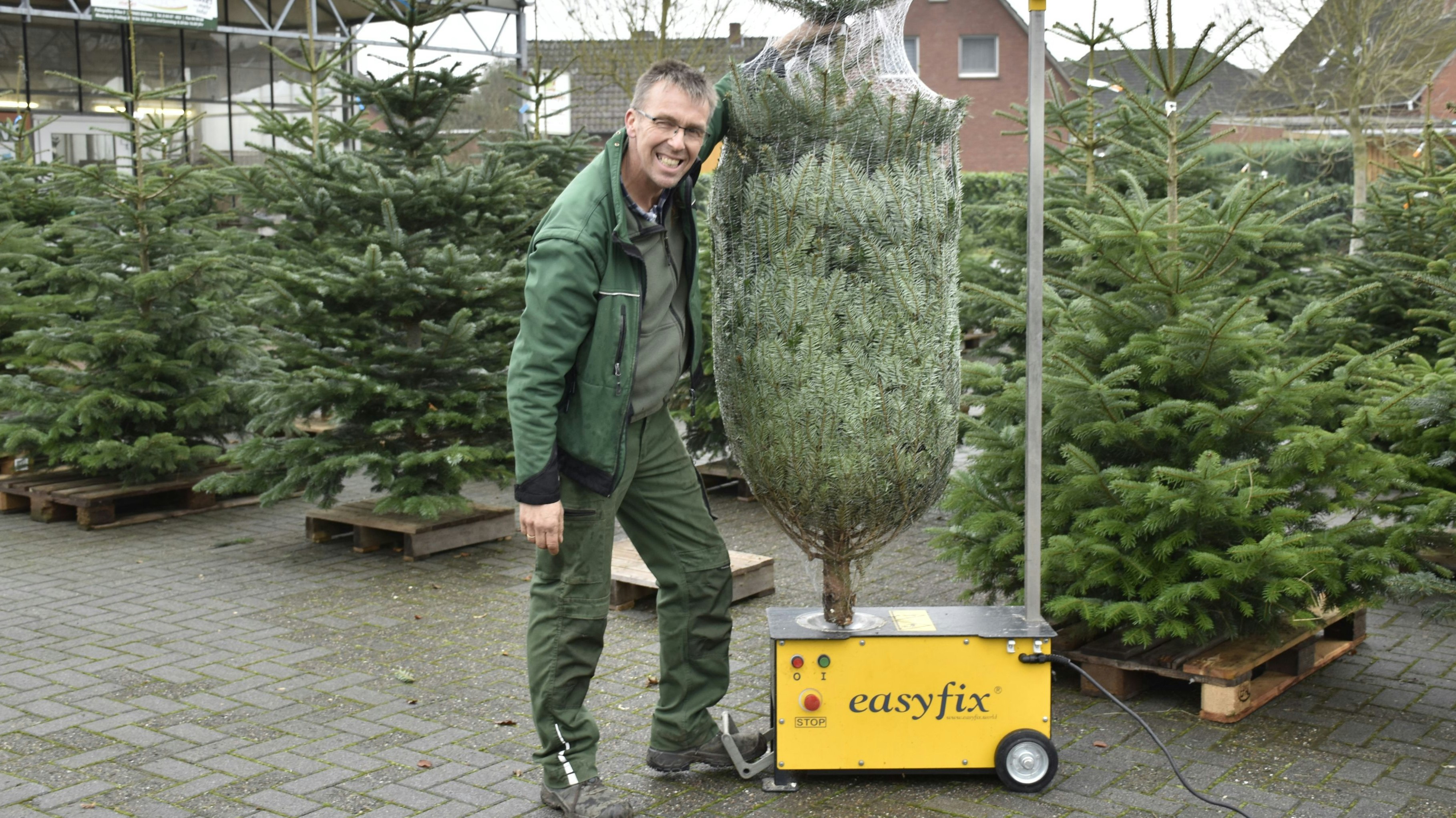 Der Baum steht wie eine Eins:&nbsp;Stefan Meyer aus Bühren nutzt für seine Bäume eine besondere Bohrtechnik, damit der Baum kerzengerade steht. Foto: J. Scholz