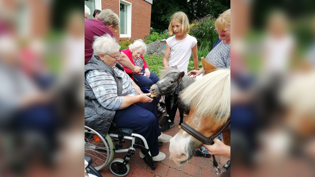 Auf Tuchfühlung mit Ponys: Über tierischen Besuch freuten sich die Teilnehmer der Beverbrucher Begegnung. Foto: Beverbrucher Begegnung