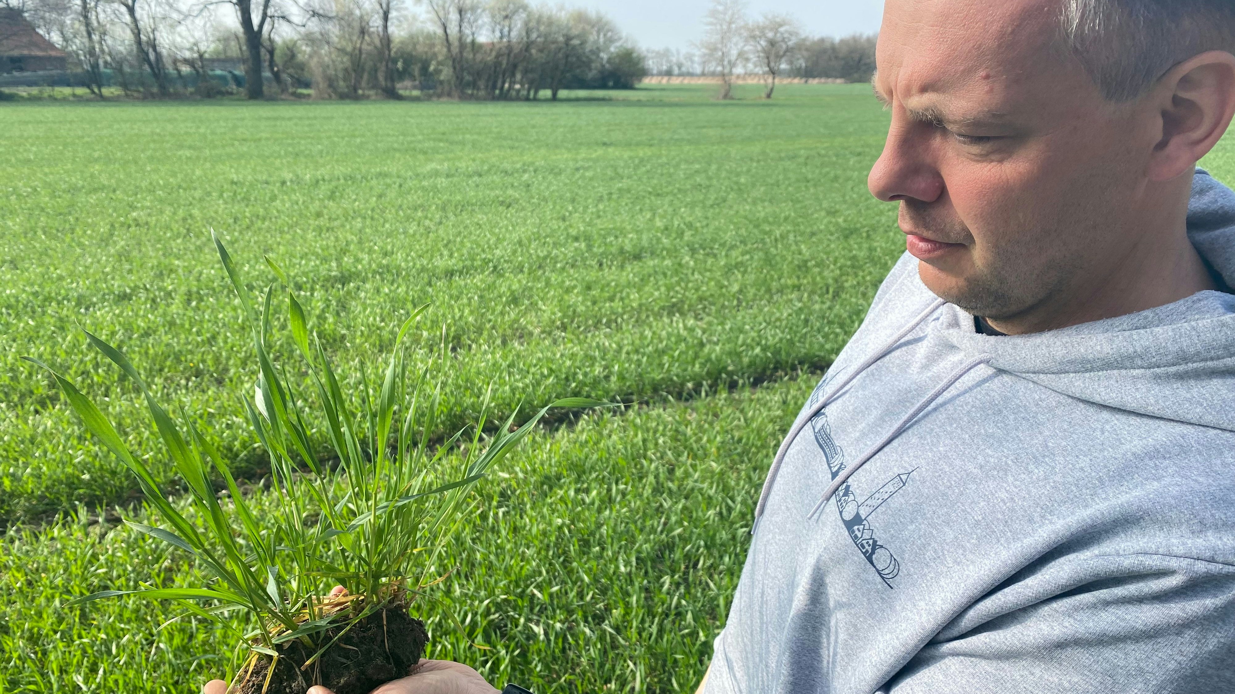 Höhenunterschiede: Pflanzenbauberater Frank Pelk empfiehlt angesichts der aktuell besonderen Bedeutung des Weizens einen Wachstumsregler. Foto: Wimberg