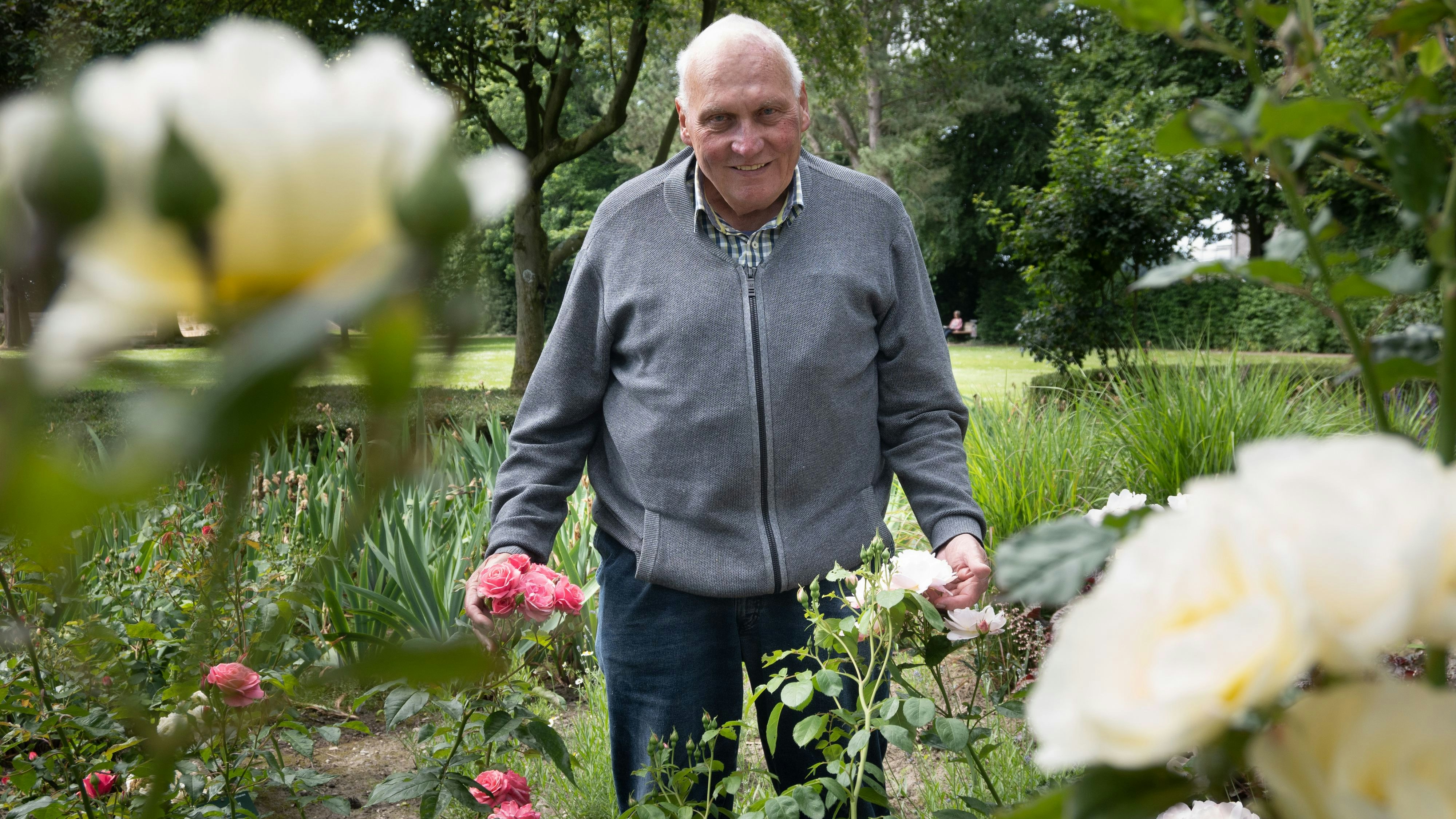 Norbert Kuhn hat ein Händchen für Rosen. Foto: Vorwerk