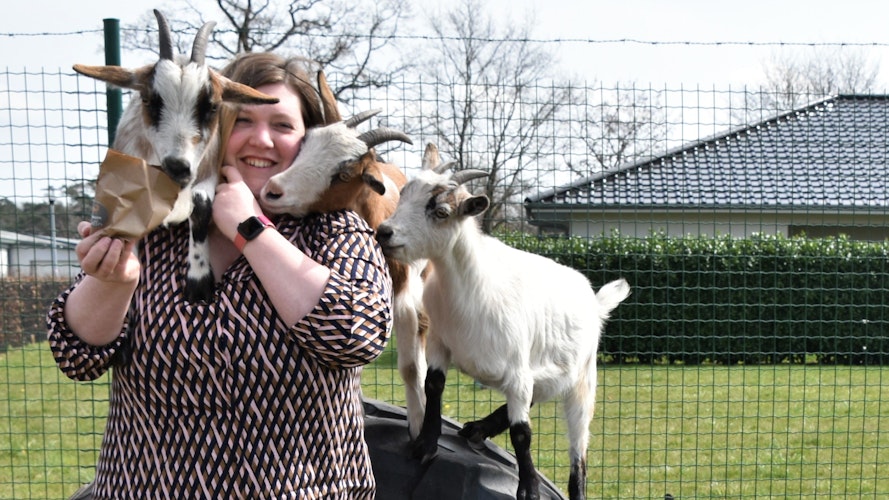Lüttje Zick: Auch die Ziegen gehören zu der Einrichtung und können beim Sommerfest gestreichelt werden. Archivfoto: Hahn