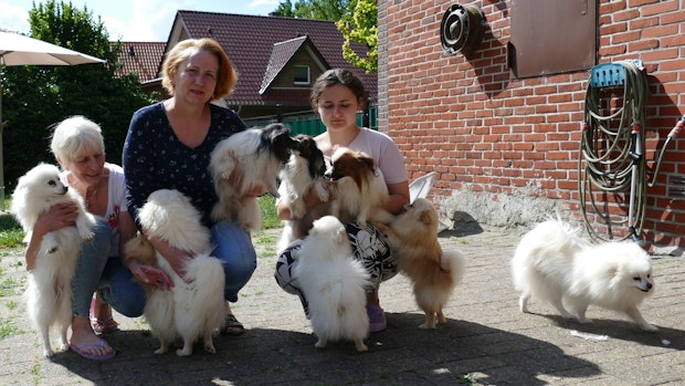 Mit 13 Hunden aus Kiew nach Elisabethfehn