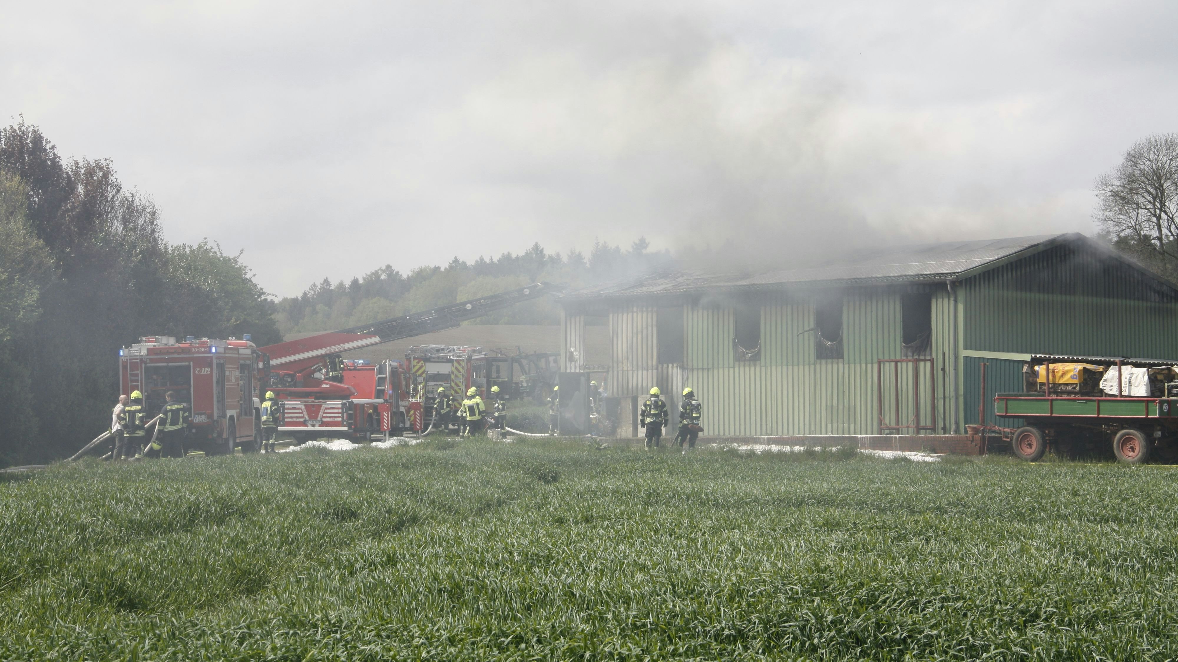 Vor Ort im Einsatz war neben den Feuerwehren Damme, Borringhausen und Osterfeine auch die Feuerwehr Neuenkirchen. Foto: Thomes
