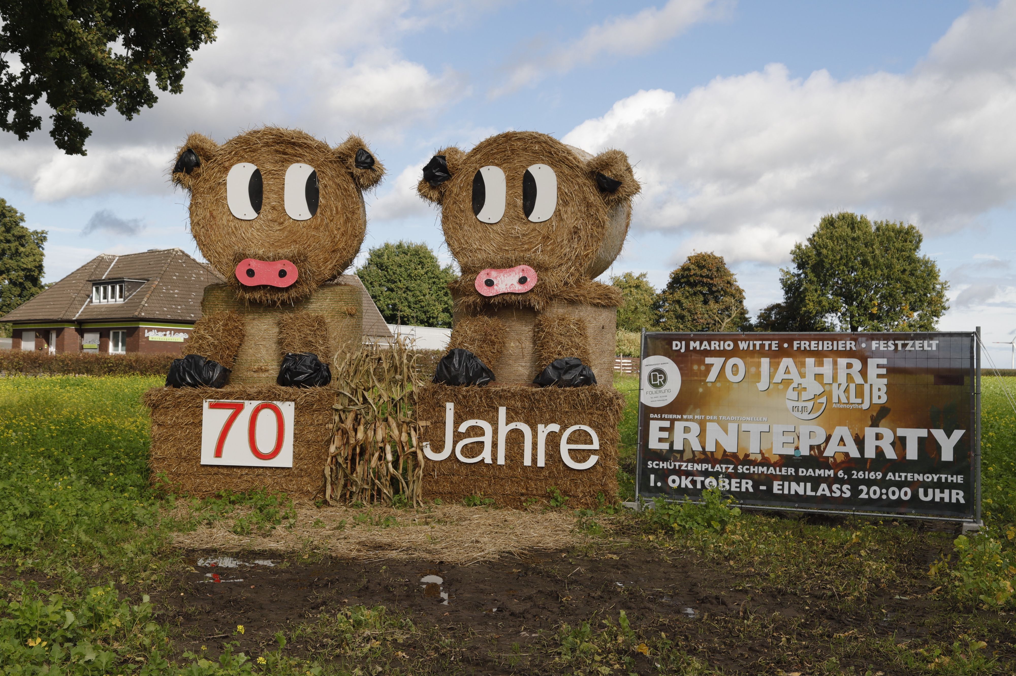 Saustark: Zum 70. Jubiläum feierte die KLJB Altenoythe eine große Ernteparty. Schweine aus Heuballen machen am Ortseingang darauf aufmerksam. Foto: M. Passmann