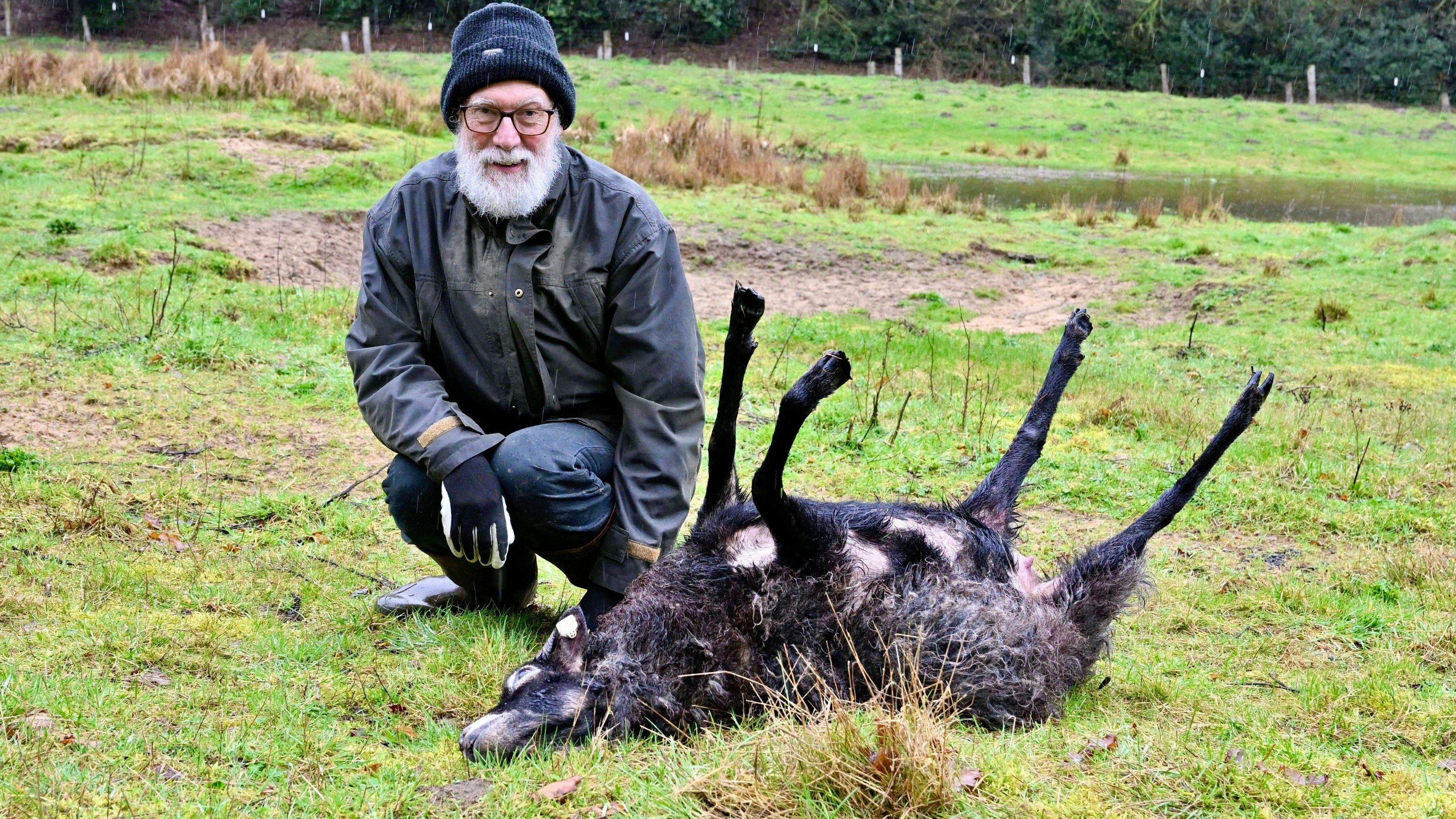 Kein schöner Anblick für einen Tierhalter: Dr. Frank Prissok mit einem getöteten Schaf. Foto: M. Niehues