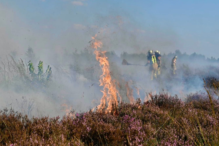 Flammen im Moor: Dort wo es nass sein sollte, ist es im Sommer zu trocken. Dann wird CO2 freigesetzt, statt es zu speichern. Foto: M. Niehues