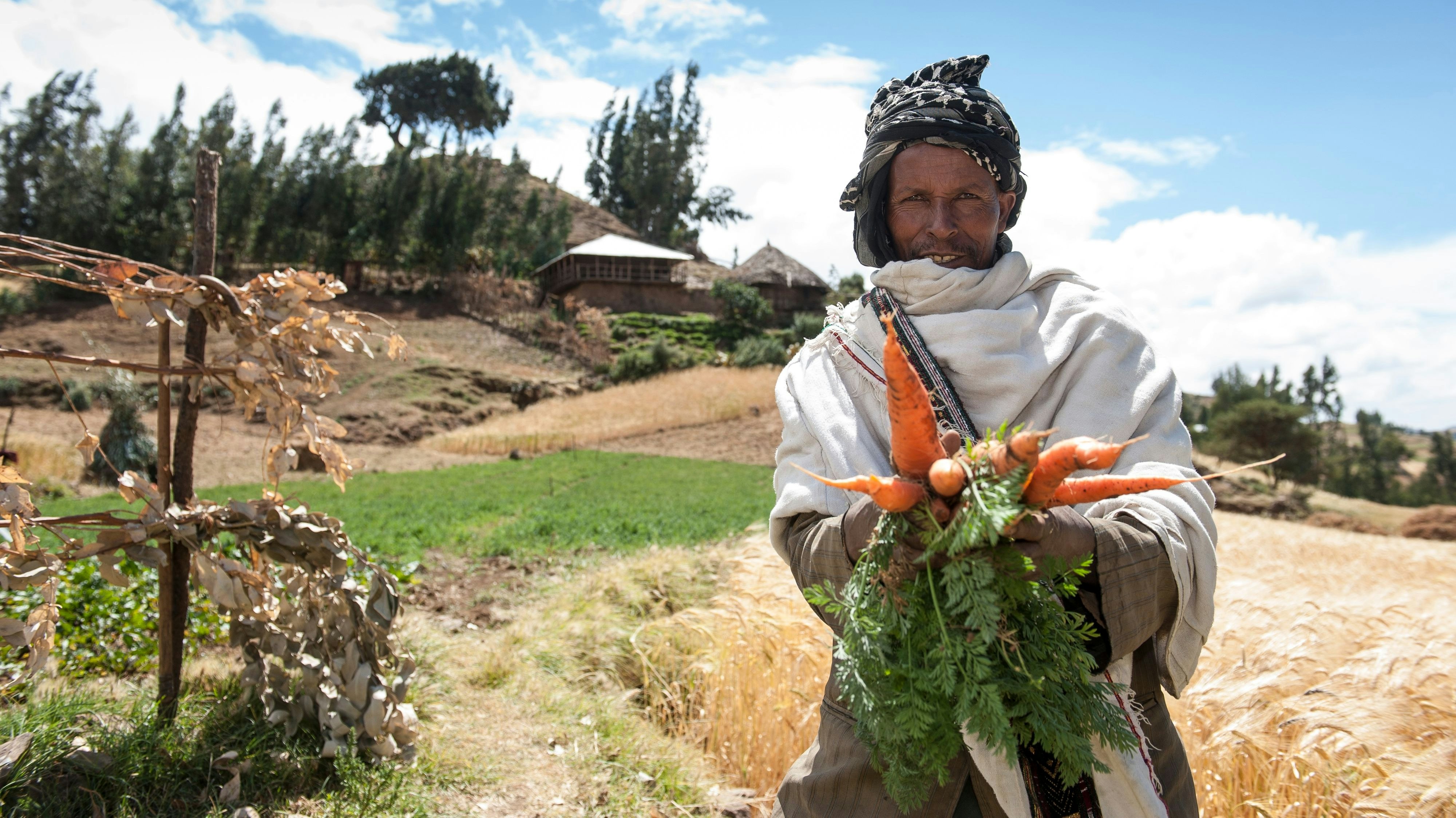 Ein stolzer Landwirt in Wore Illu: Hussein Endere, einer von vielen Kleinbauern, präsentiert einen Teil seiner Möhren-Ernte. Foto: MfM / Kwiotek