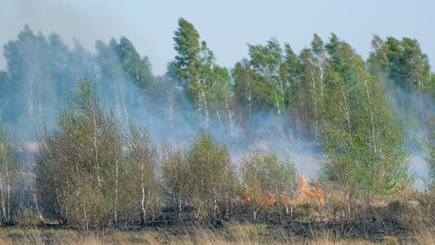 Naturschützer warnen vor Moorbränden
