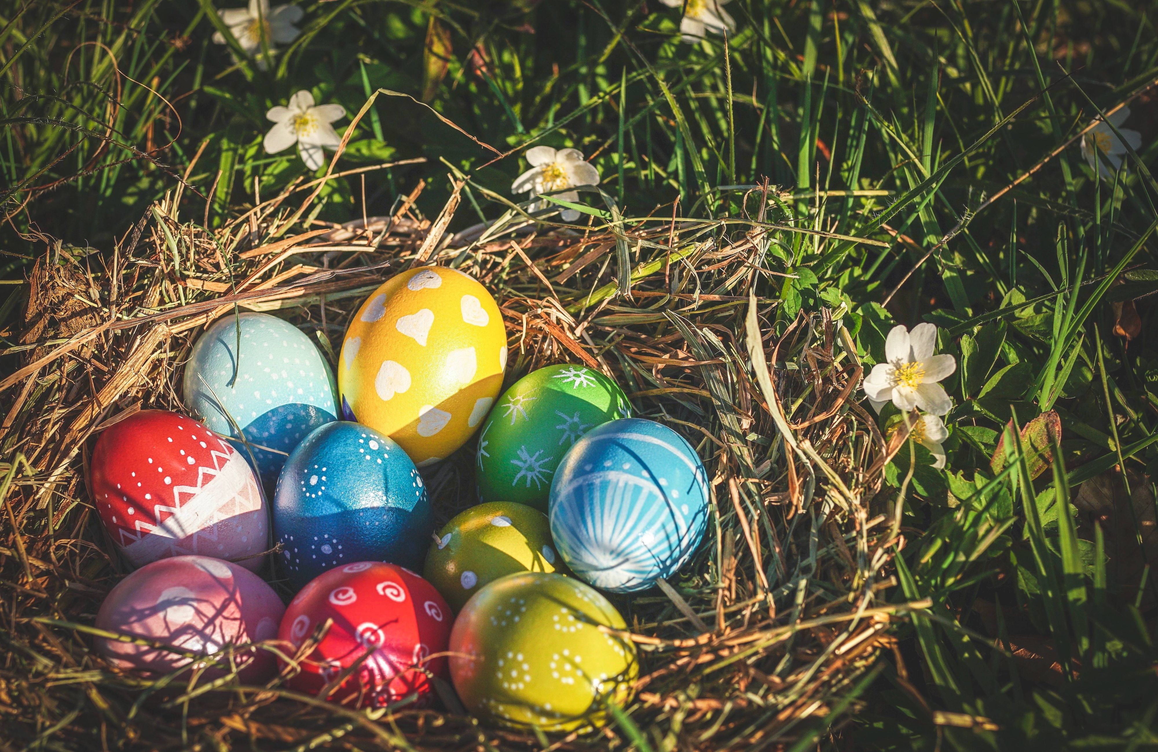 Besonders gut zum Färben und Bemalen eignen sich Eier mit weißer glatter Schale. Foto: suju-foto/Pixabay