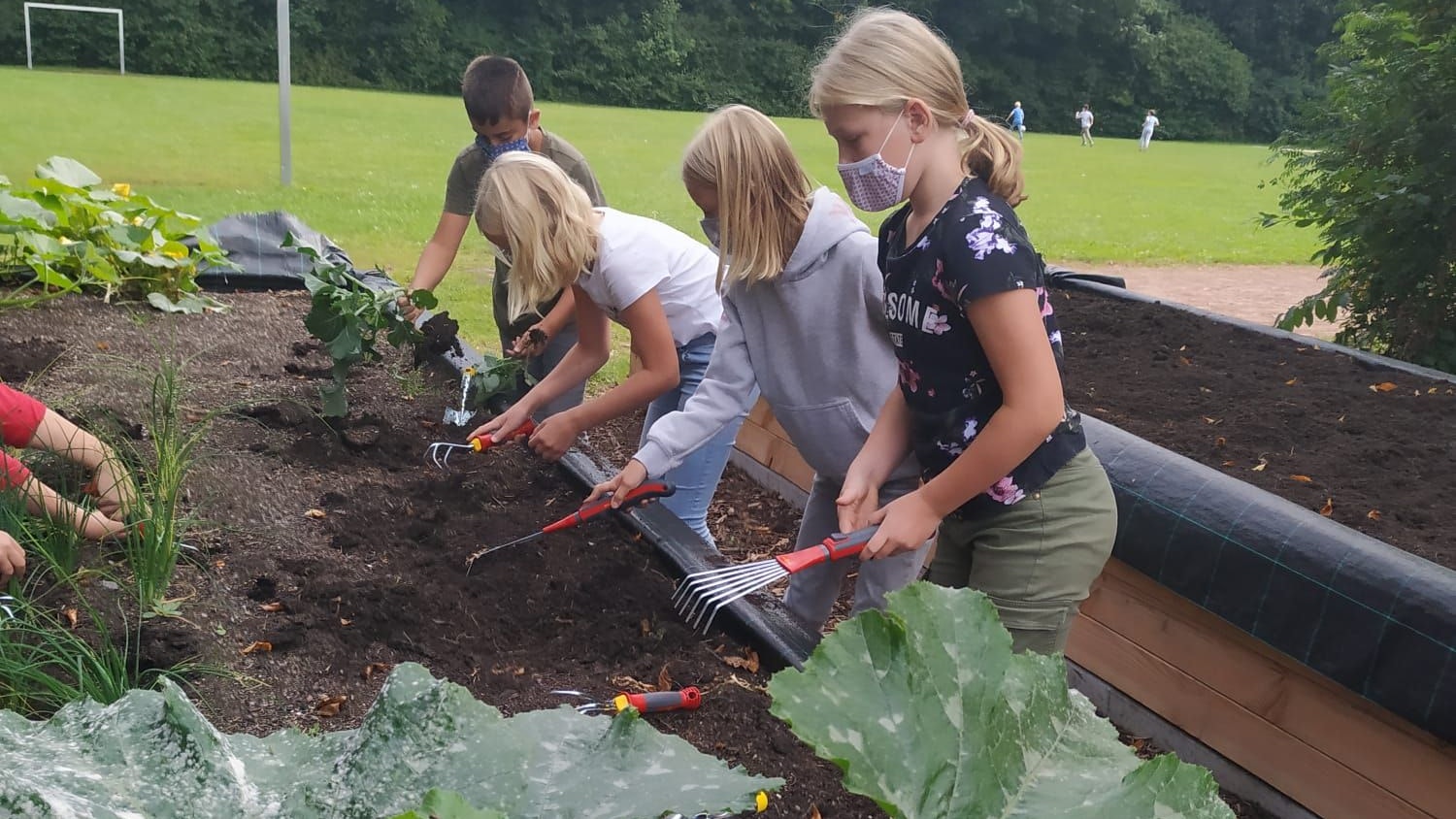 Fleißige Gärtner: Mit großer Freude bauen die Schüler eigenes Gemüse an. Foto: Lamping