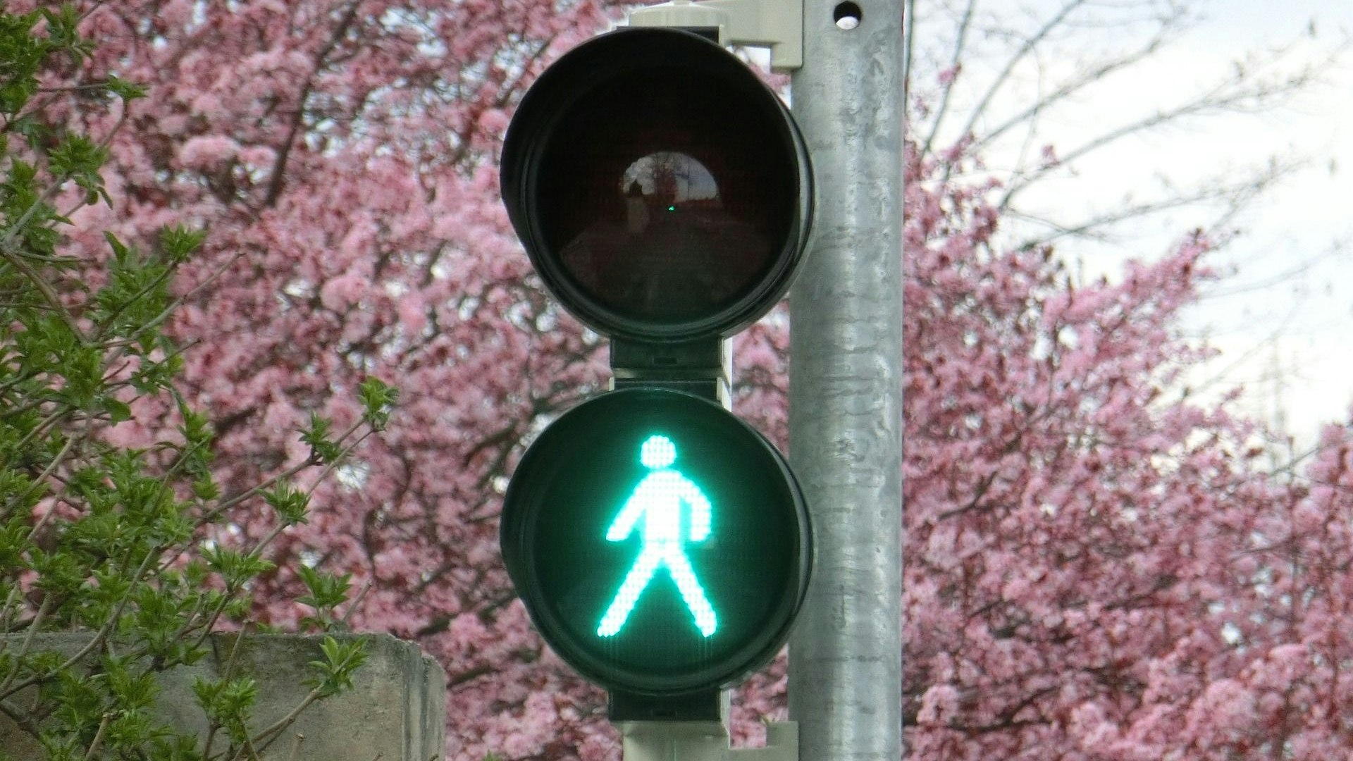 Grünes Licht von der Politik: An der Rechterfelder Straße soll eine Bedarfsampel eingerichtet werden. Symbolfoto: Pixabay