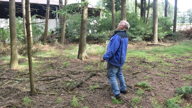 Heinrich Pöppelmann klagt: Gegen das Baumsterben ist keine Lösung in Sicht