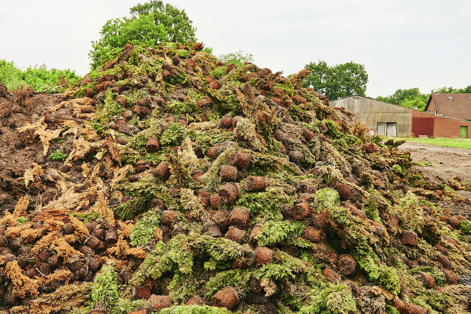 Der „Covid-19-Komposthaufen" der Baumschule Schlangen: sechs Meter hoch, 40 Meter lang und 1,4 Millionen Euro teuer.  Foto: © Foto- und Bilderwerk - <a href="http://www.bilderwerk.org/">www.bilderwerk.org</a>