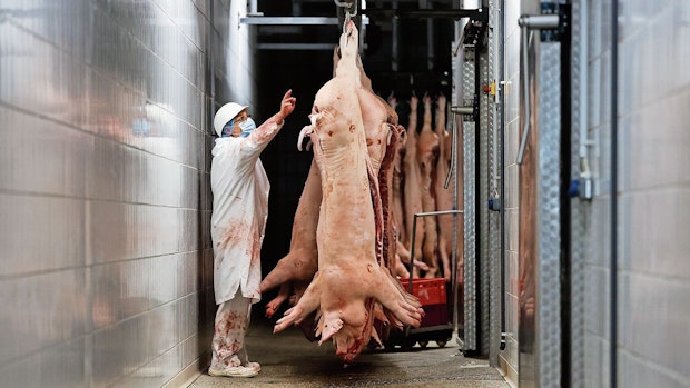 Schweinefleisch-Experte: "Seit Corona ist der Markt konfus"