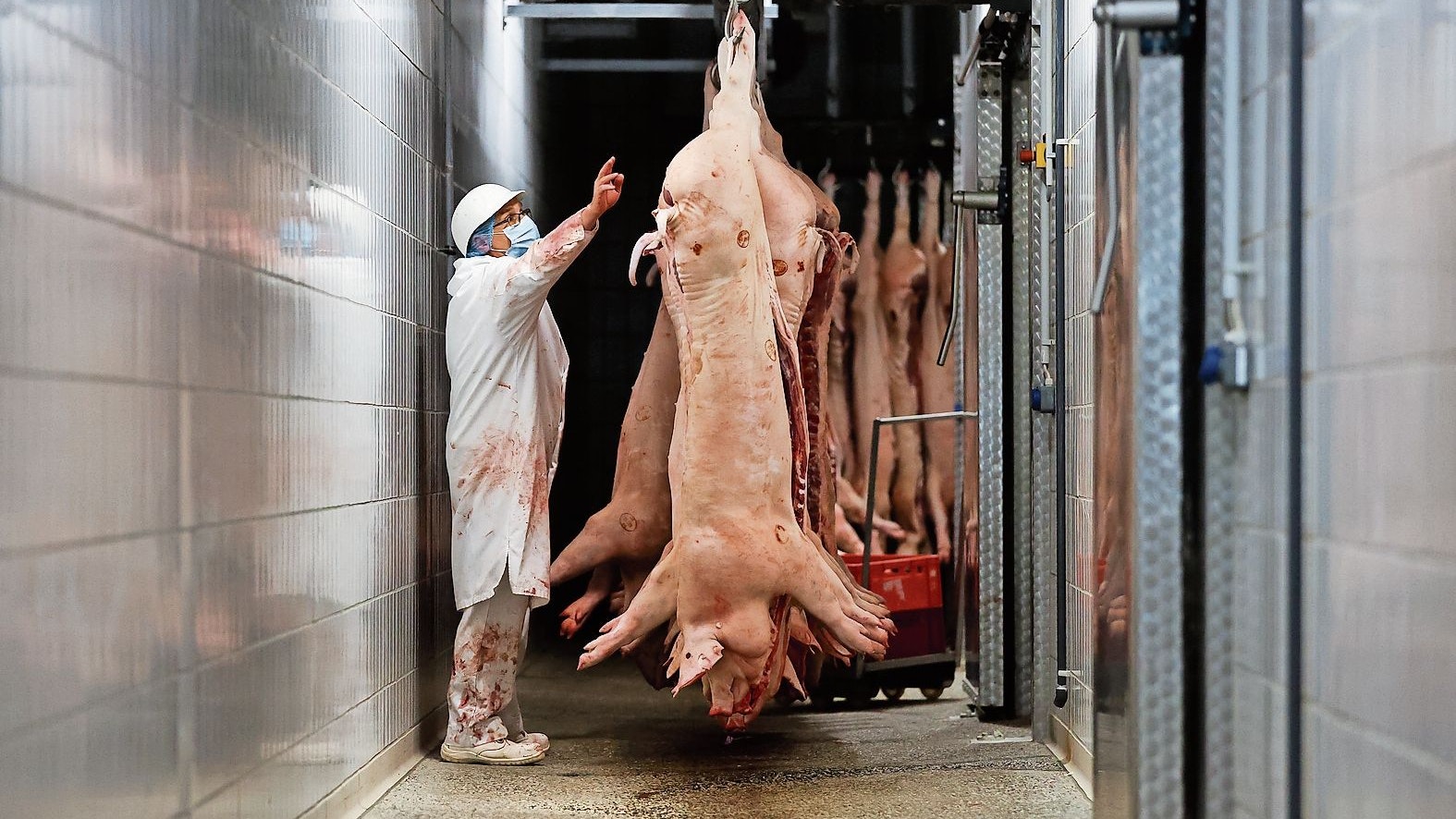 Schwieriger Markt: Die Nachfrage nach Schweinefleisch sinkt in Deutschland. Foto: dpa&nbsp;