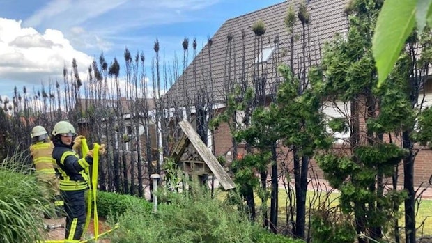 Brennende Lebensbaumhecke verursacht 15.000 Euro Schaden in Ramsloh