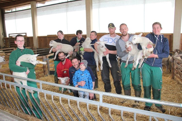 Die landwirtschaftlichen Mitarbeiter des Sonnenhofes haben einige Lämmer auf dem Arm. Ihre Schafhaltung umfasst aktuell etwa 600 Tiere. Foto: Speckmann