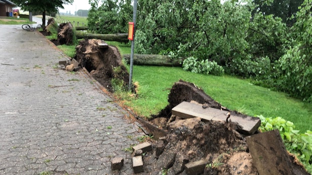 Schwere Sturmschäden in Damme, Neuenkirchen und Vörden