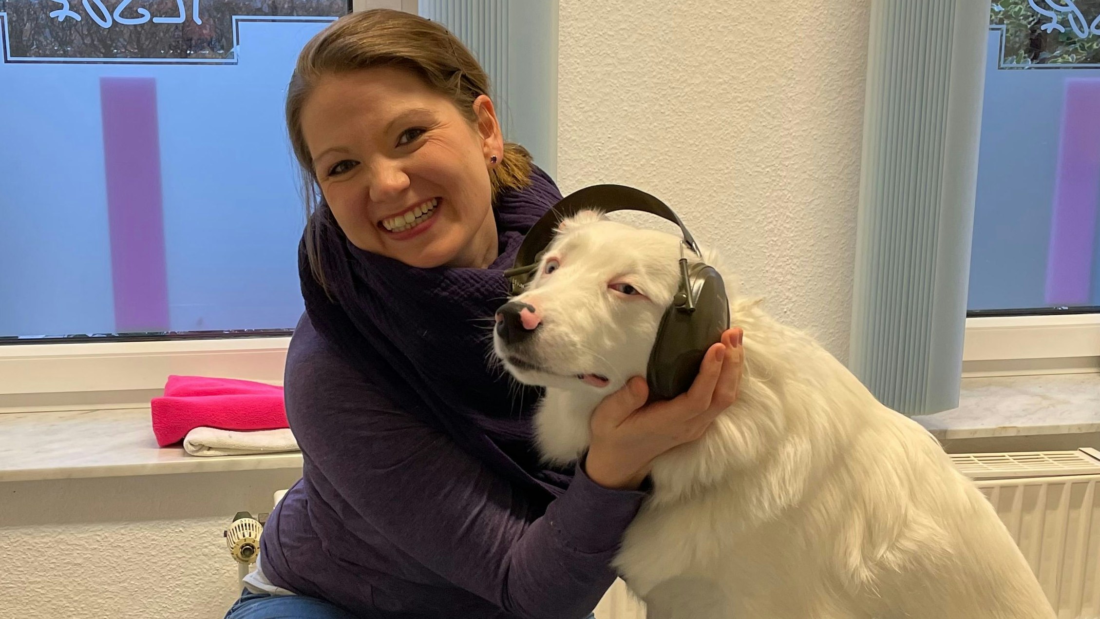 Nicht geeignet: Kopfhörer zur Geräuschdämmung funktionieren bei Hunden und Katzen eher nicht. Tierärztin Dr. Claudia Wiese setzt auf Vorsorge und Training. Foto: Stix