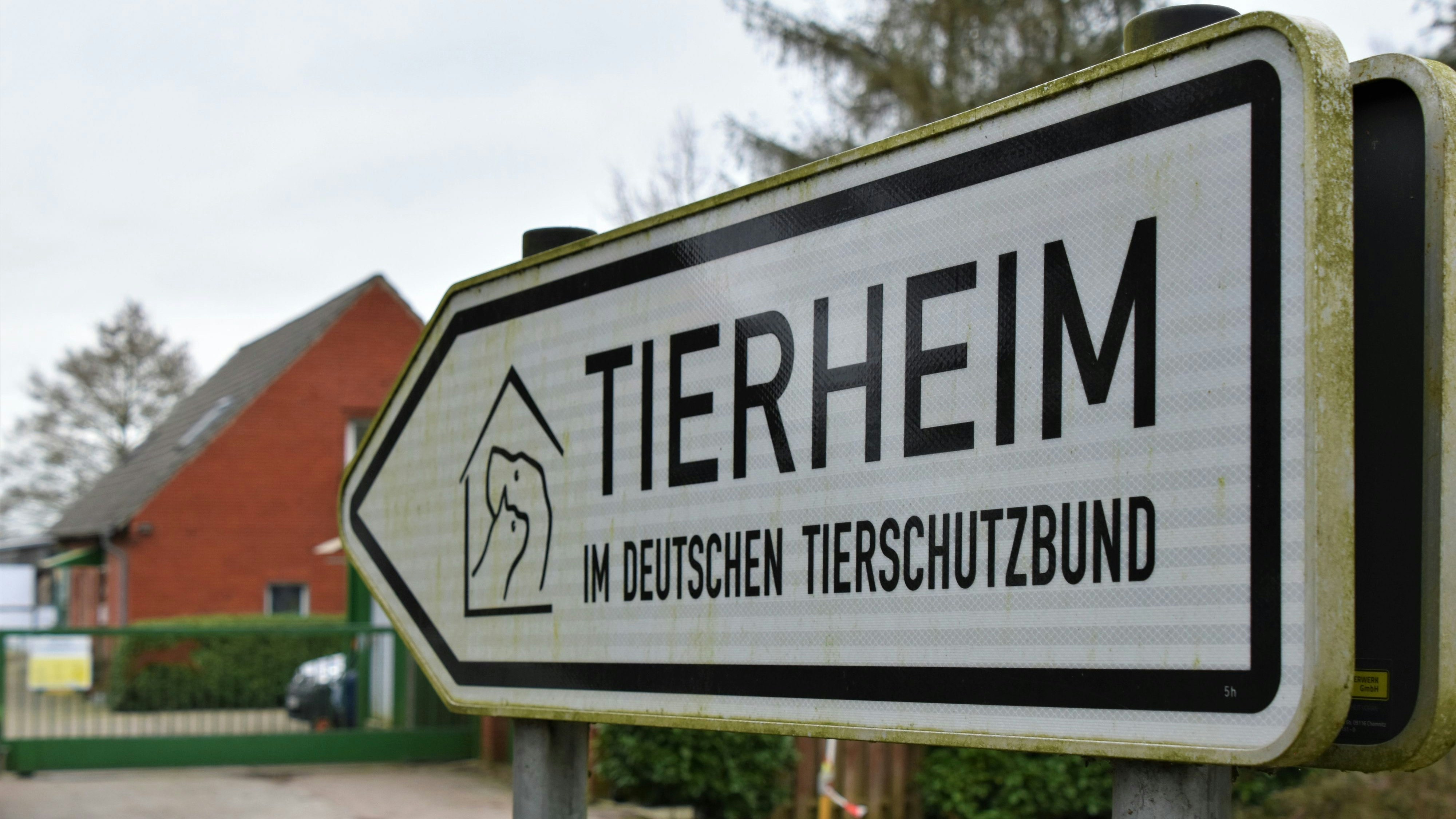 Bleibt das Tierheim in Sedelsberg oder nicht? Während kreisweit eine Fläche für den Neubau gesucht wird, stellt die Mehrheitsfraktion der CDU/FDP Antrag auf Änderung der Bauleitplanung. Archivfoto: Hahn
