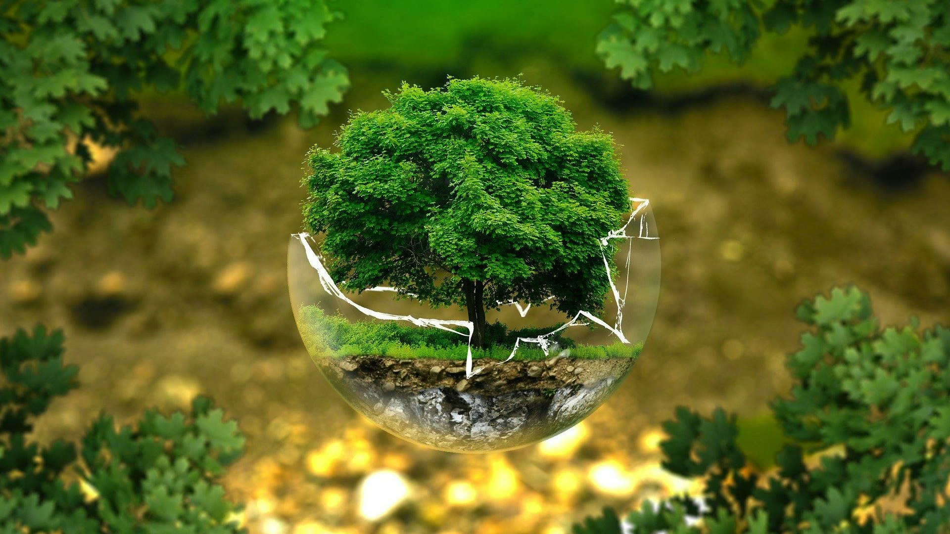 Den Klimaschutz im Blick: Das hat in Holdorf vor allem der Nachhaltigkeitsausschuss. Foto: Pixabay