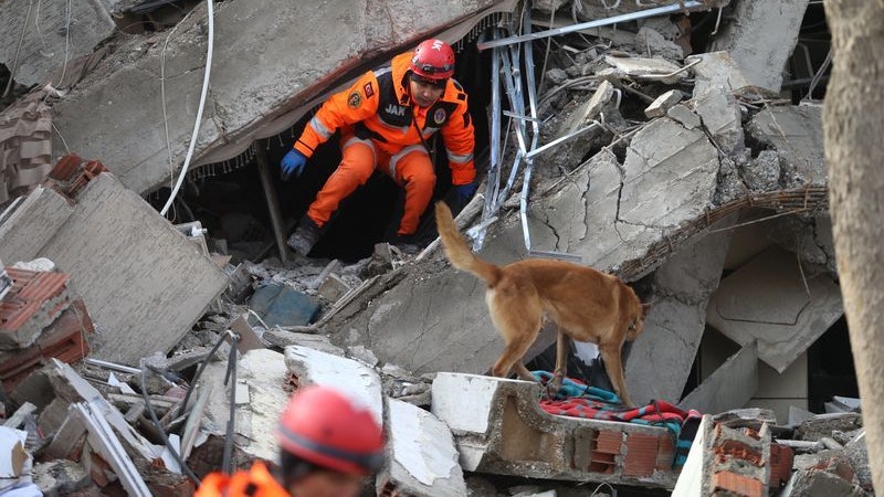 Ein Retter und sein Hund suchen im türkischen Kahramanmaras in den Trümmern eines Gebäudes nach Überlebenden. Foto: dpa/Kaya