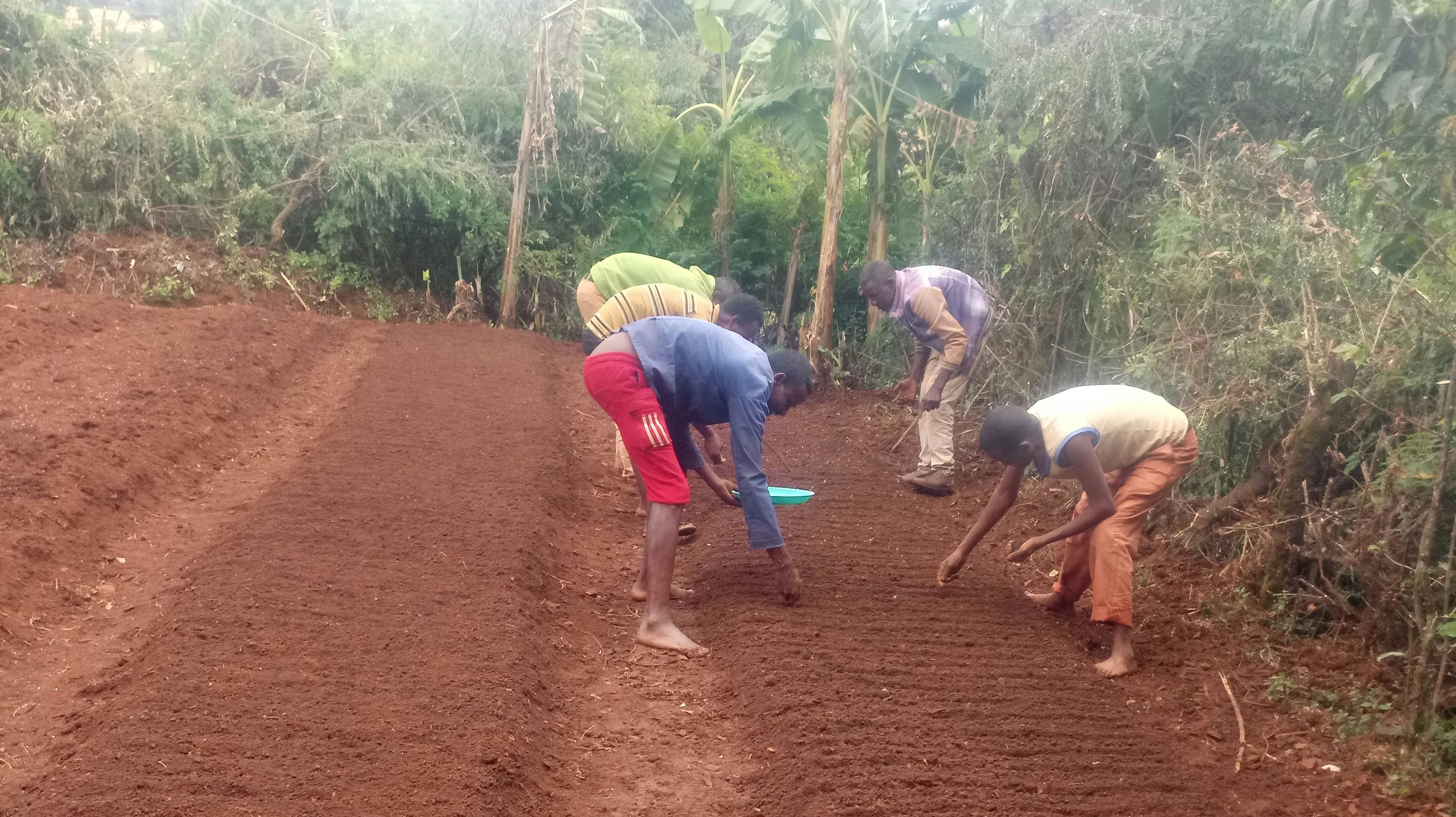 Handarbeit: Kleinbauern in der MfM-Projektregion Dano bereiten ihr Feld für die Saat vor. Fotos: MfM