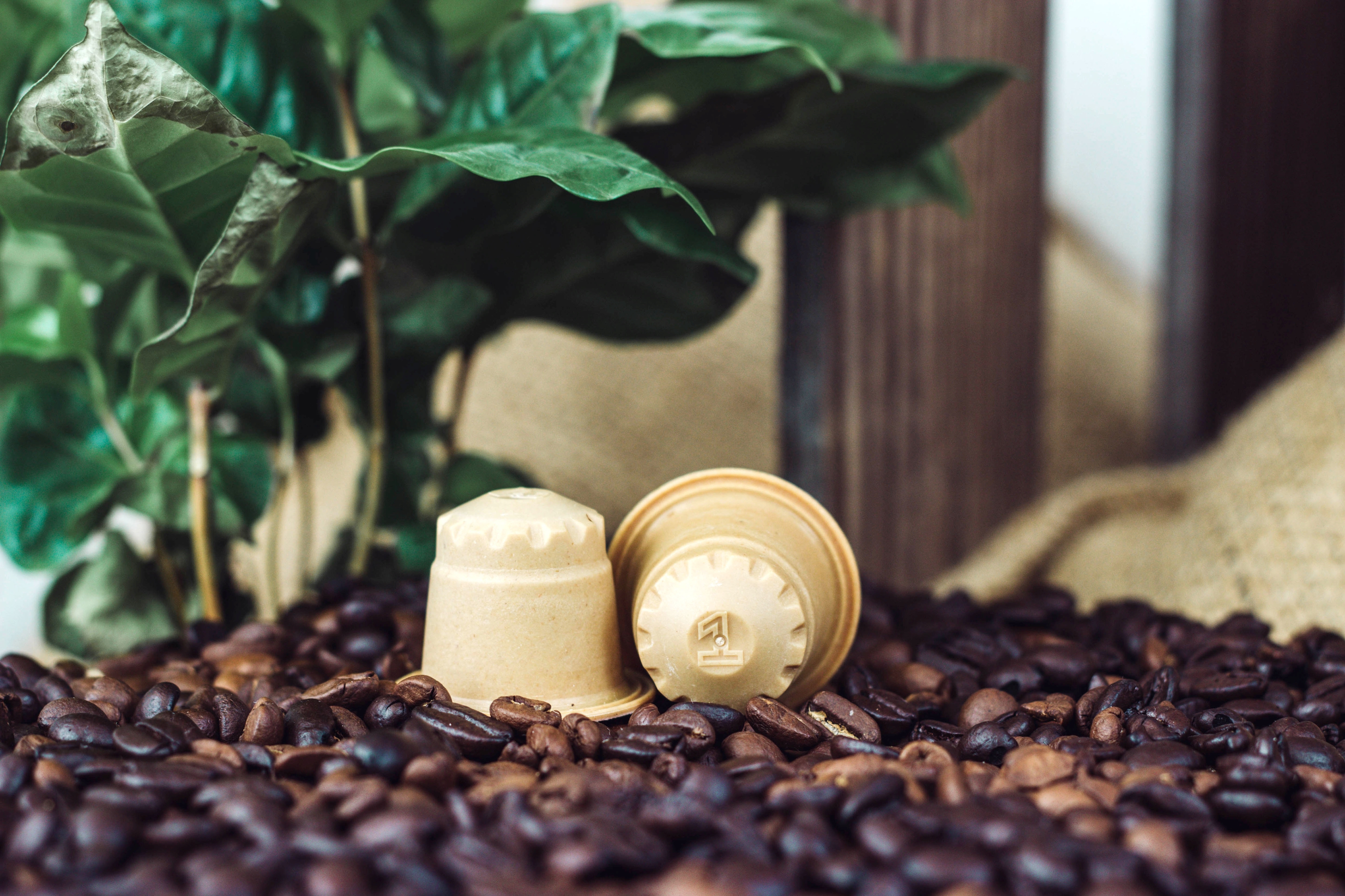Beim Kaffee am Morgen kann man Holz- statt Alukapseln verwenden. Foto: djd/PEFC