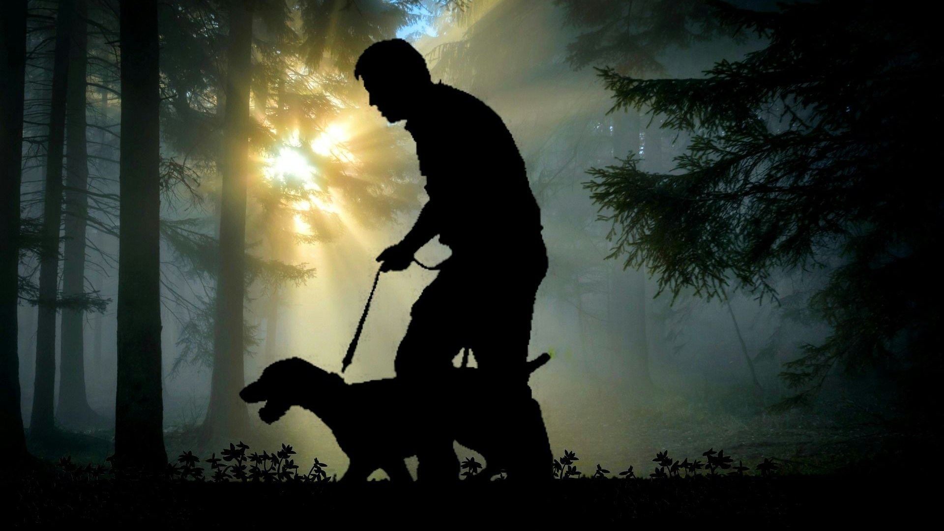 Es gibt eine Dunkelziffer: Nicht alle Hundehalter kommen der Pflicht zur Anmeldung ihrer Tiere nach. Die Steinfelder Opposition fordert nun eine Bestandsaufnahme für die Gemeinde. Foto: Pixabay