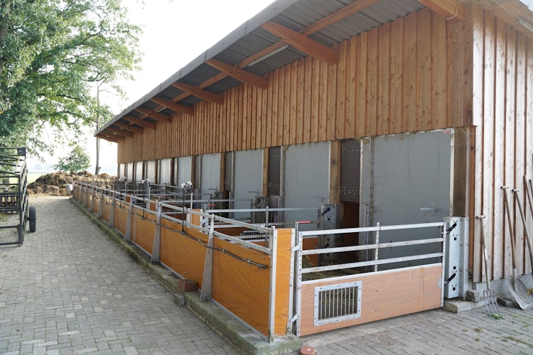 Blick auf die Außenausläufe am Stall des ökologisch bewirtschafteten Wilhelminenhofes in Bakum. Foto: Weda