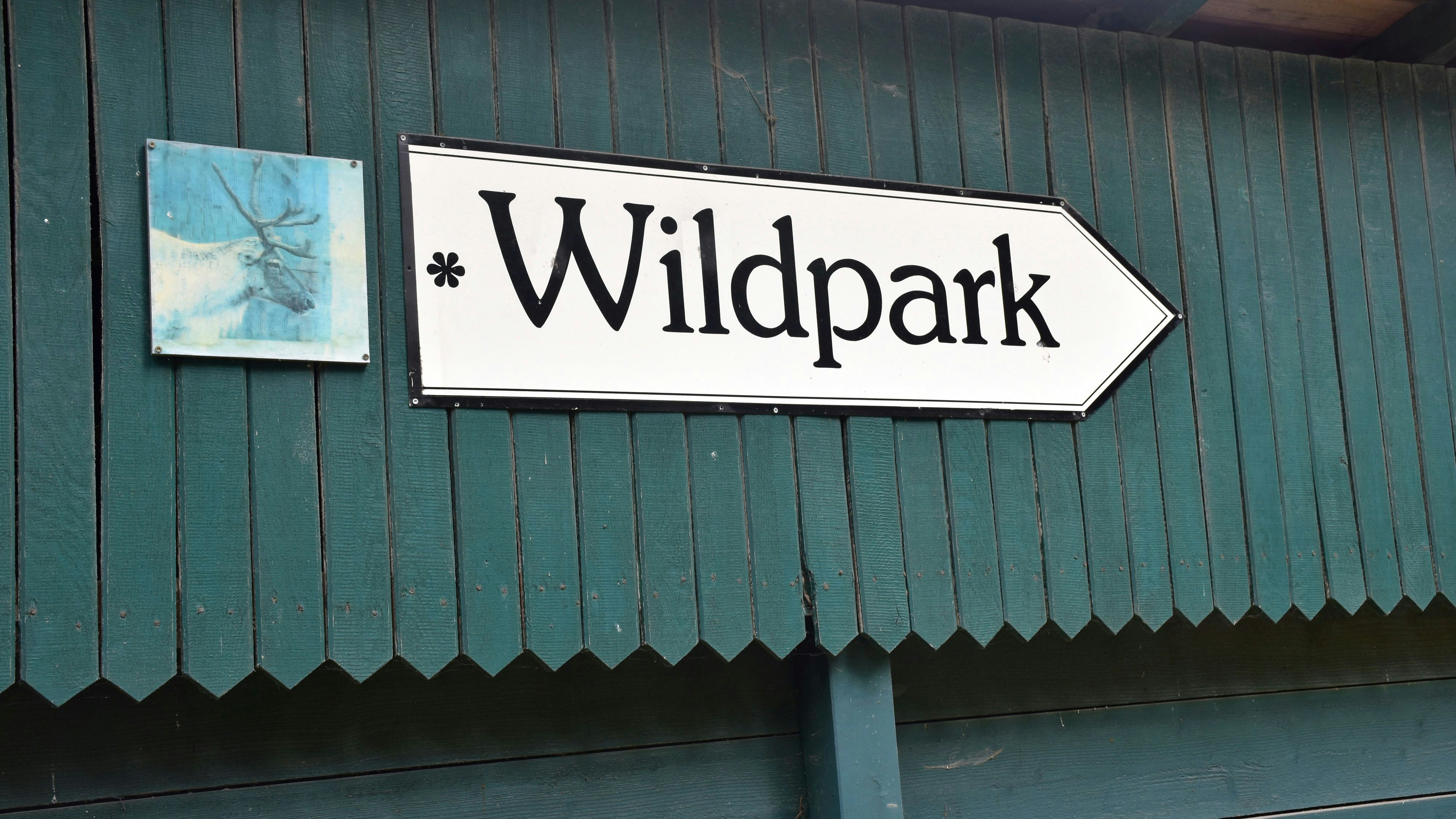 Im Fokus: Der beliebte Wildpark im Dinklager Burgwald gehört bald wahrscheinlich der Stadt Dinklage. Foto: Böckmann