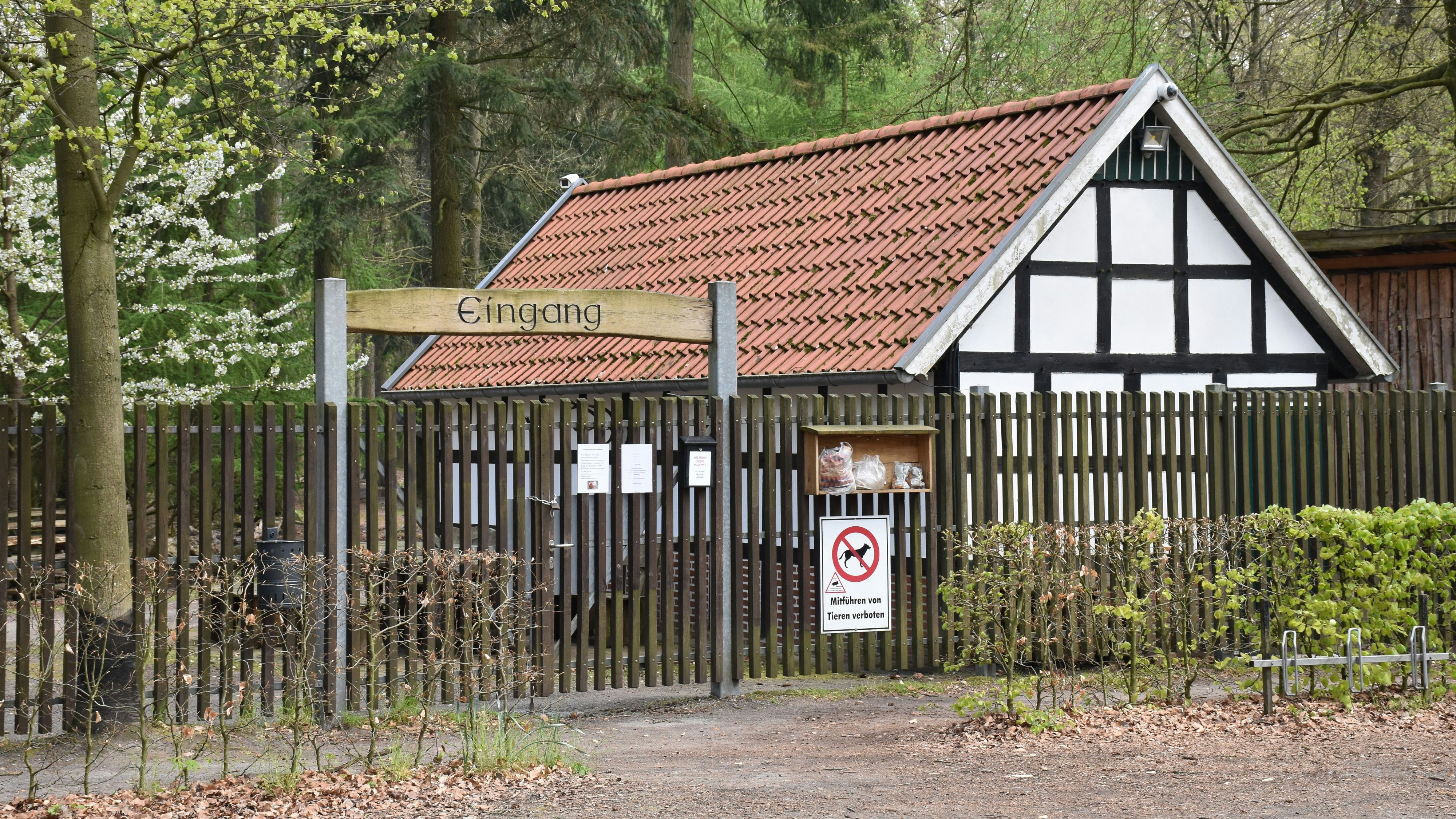 Beliebtes Ausflugsziel: Der Dinklager Wildpark im Burgwald. Foto: Böckmann
