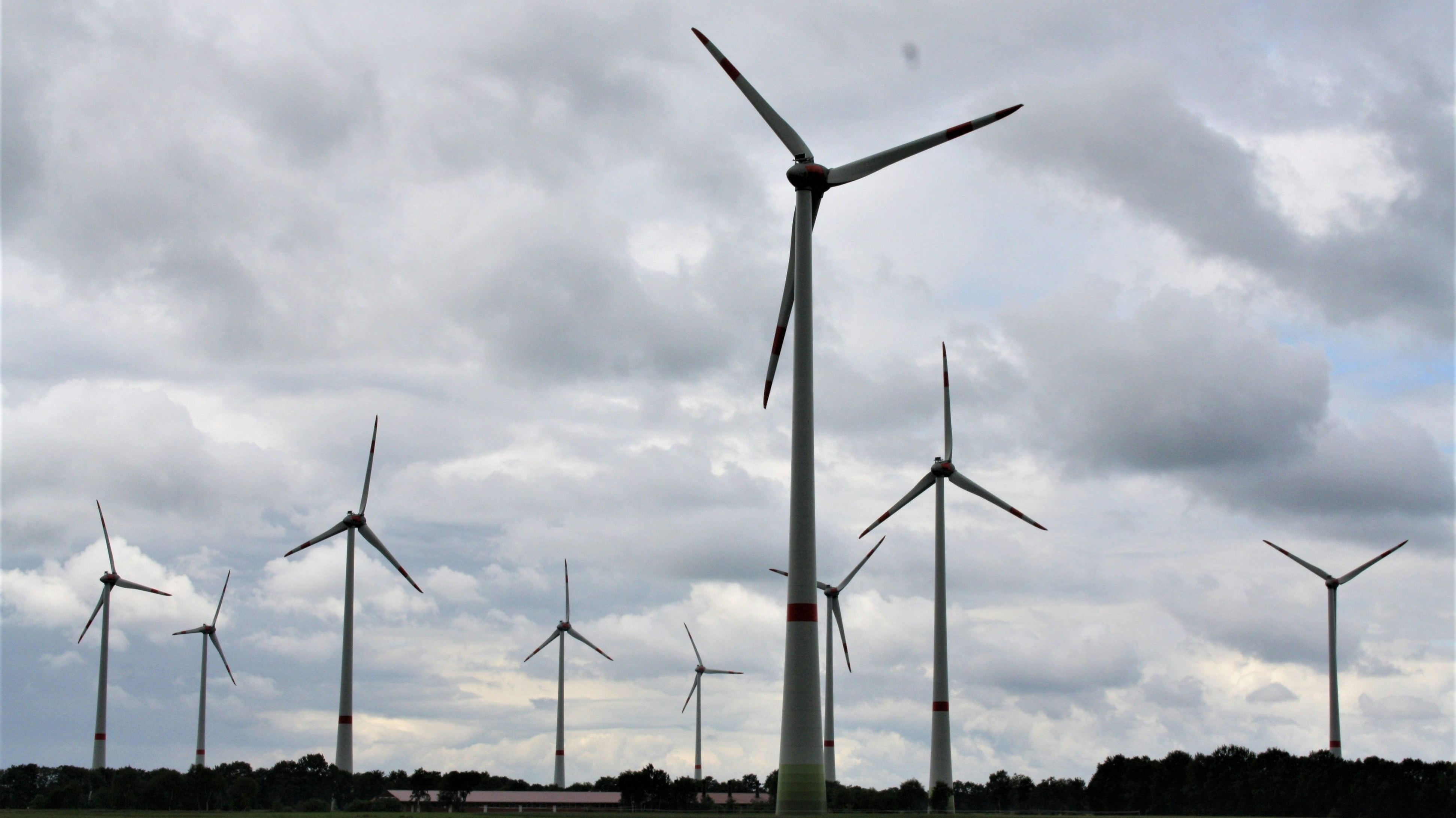Analyse bis Herbst 2023: Sollen Windparks wie hier in Bösels Kündelmoor erweitert werden? Foto: Pille