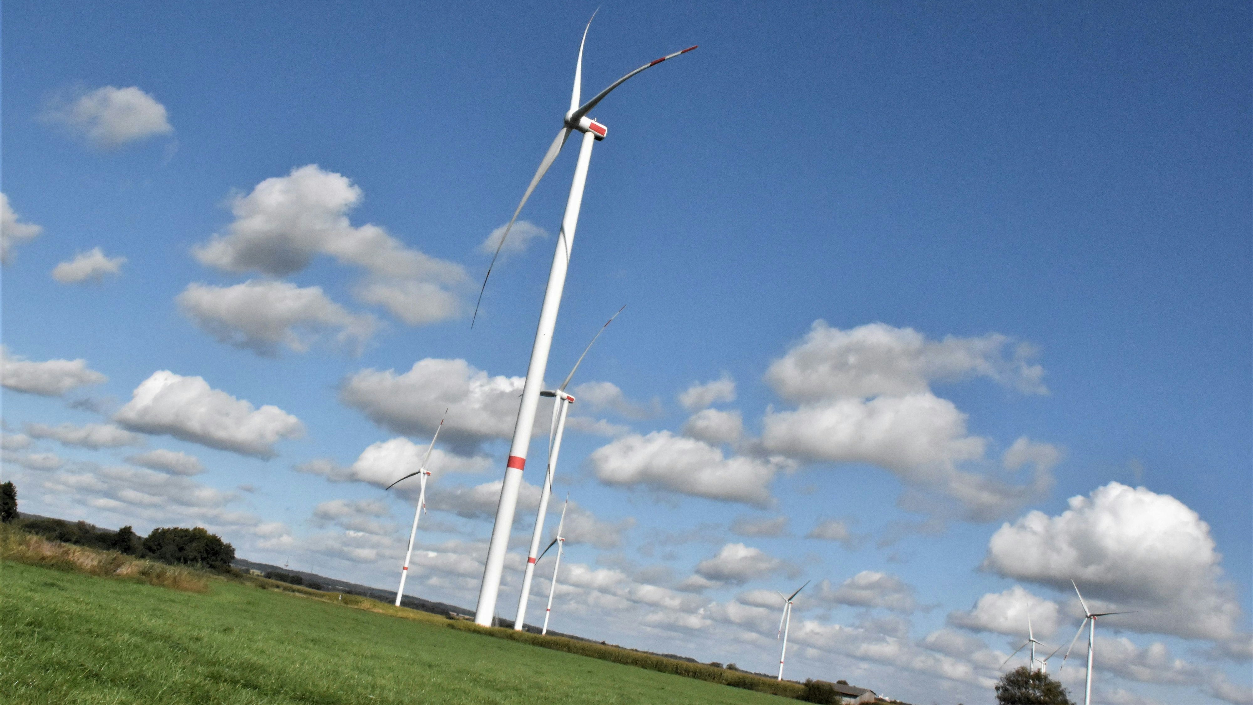 Der Bund will den Ausbau von Windkraftanlagen auf See und an Land – wie hier in Damme-Südfelde – forcieren. Foto: Kühn