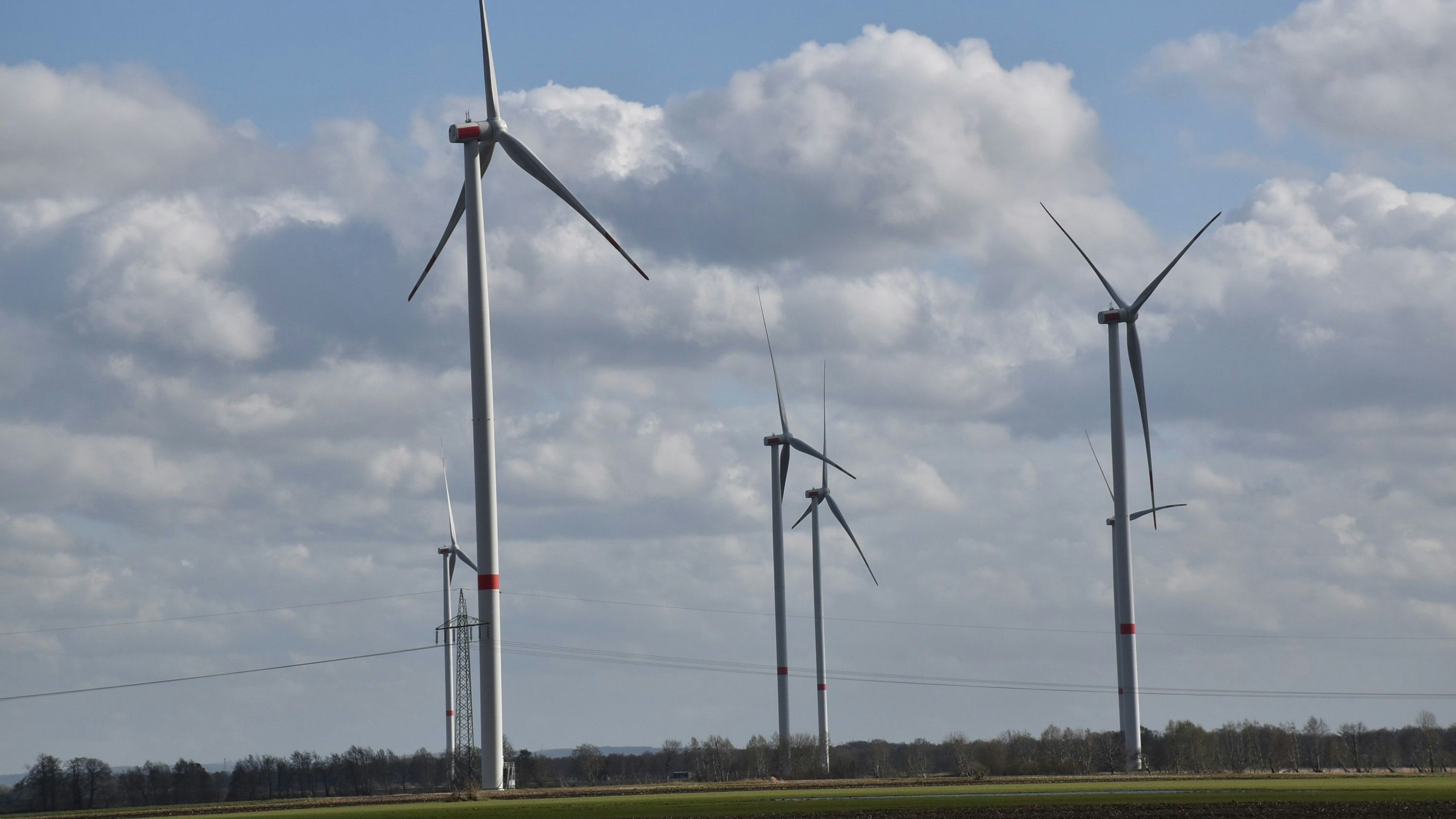 Alles ist offen: Ob die Gesellschaft Windpark Damme ihren Windpark im Borringhauser Moor erweitert oder im Bereich Schwege/Hunteburg einsteigt, ist noch nicht entschieden. Foto: Lammert