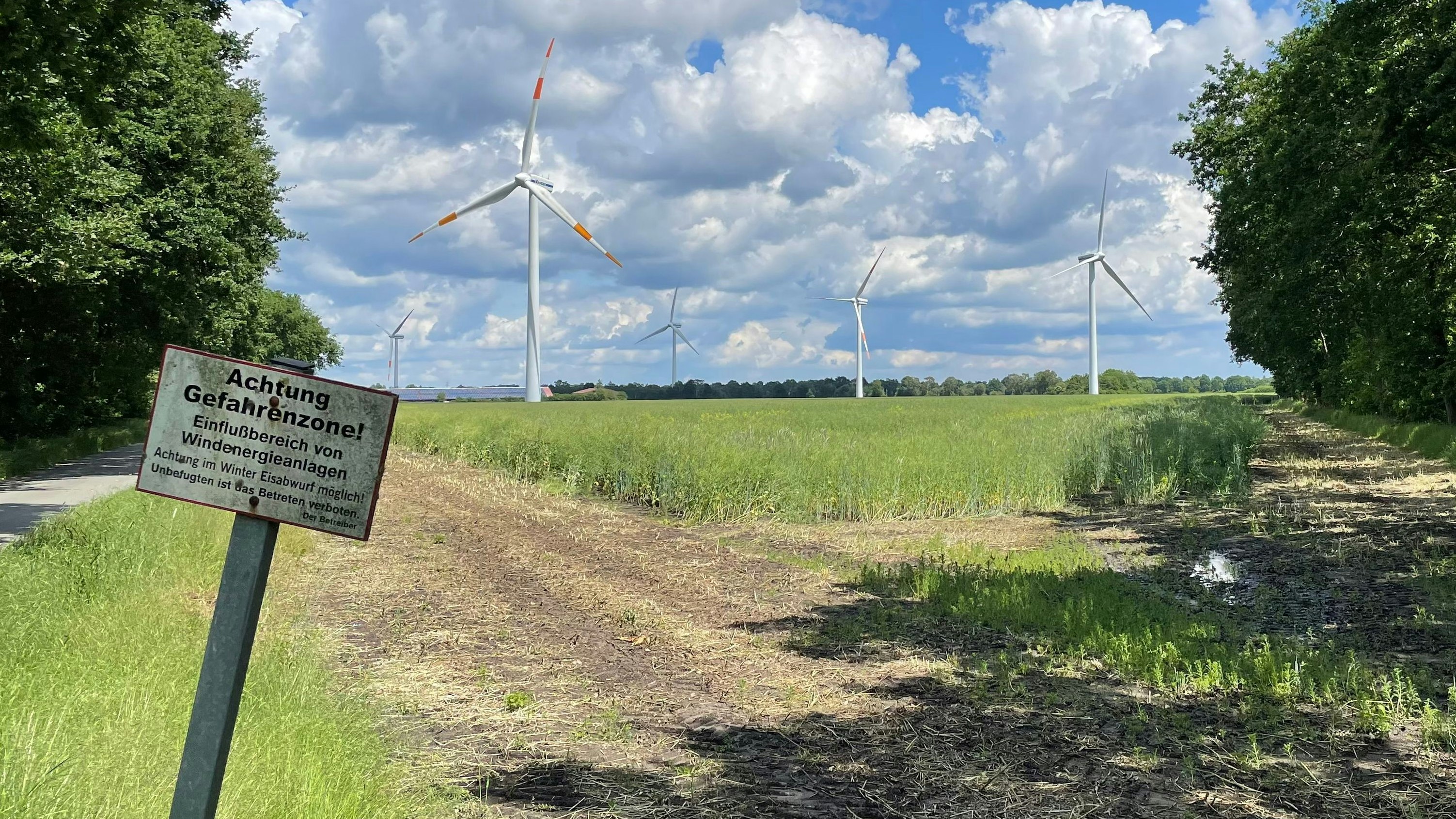 Zuwachs geplant: Der Windpark in Thüle an der Grenze zu Bösel ist einer von vier im Friesoyther Stadtgebiet. Ein weiterer könnte in Neuvrees entstehen. Foto: Stix