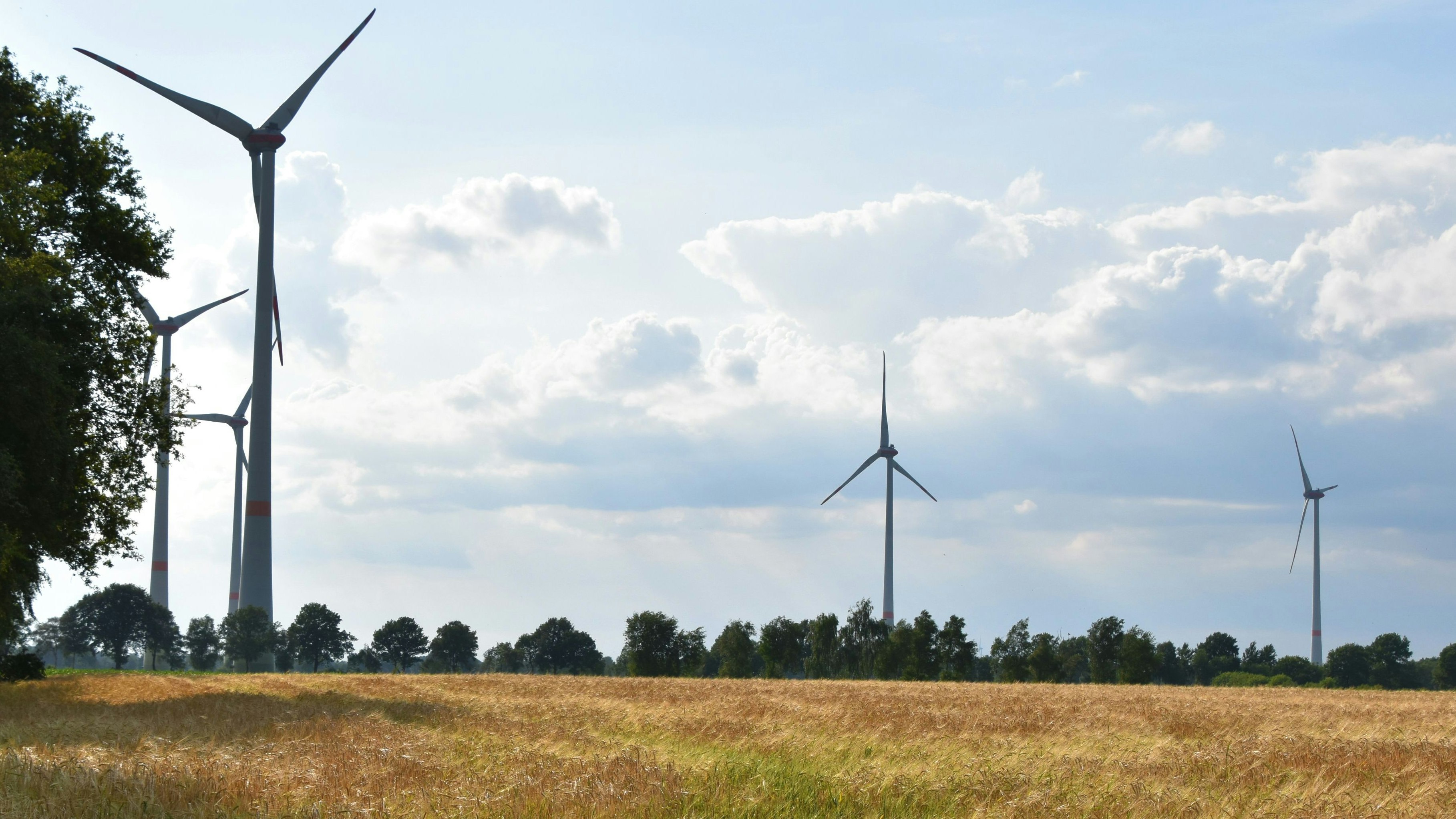 Beteiligung erwünscht: Ob mit den neuen ausgewiesenen Flächen für Windenergie erneut ein Bürgerwindpark, wie hier in Ahrensdorf/Heinfelde, entstehen kann, steht noch nicht fest. Foto: Hahn
