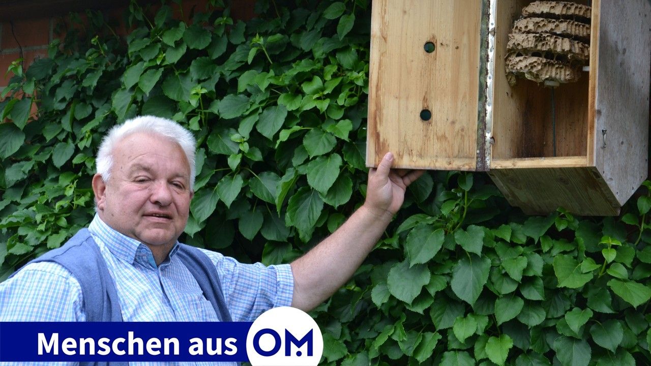 Neue Heimat: In Kästen wie diesen siedelt Werner Fendesack die Hornissen nach einem Umzug wieder an. Foto: Götting